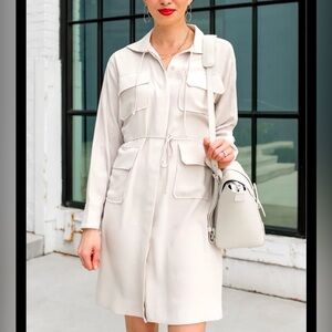 SOLD Babaton Howitt Dress